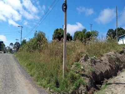 Terreno para Venda, em Lages, bairro Santa Catarina